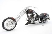 2010 Bourget Phyton 330 Super Stretch photo